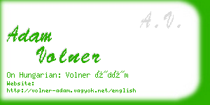 adam volner business card